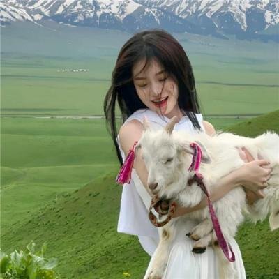 赛马娘 海报