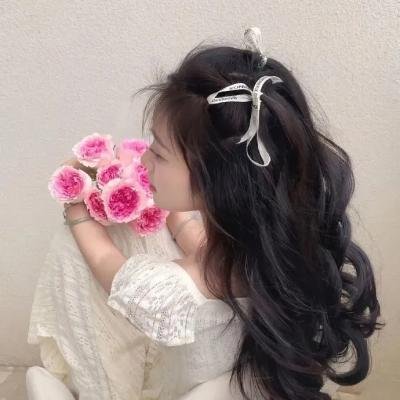 酷爱电影的庞波小姐 海报